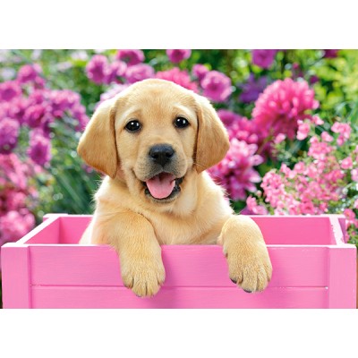 Labrador best sale jigsaw puzzle