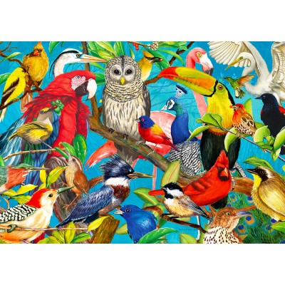 Birds Jigsaw Puzzles