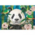 Jigsaw Puzzle.co.uk