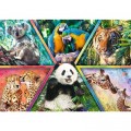 Jigsaw Puzzle.co.uk