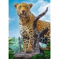 Jigsaw Puzzle.co.uk