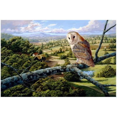 Wentworth-592206 Wooden Puzzle - Barn Owl
