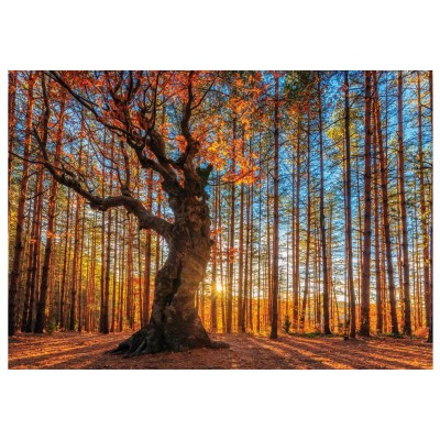 Wentworth-640101 Wooden Puzzle - The King of the Forest