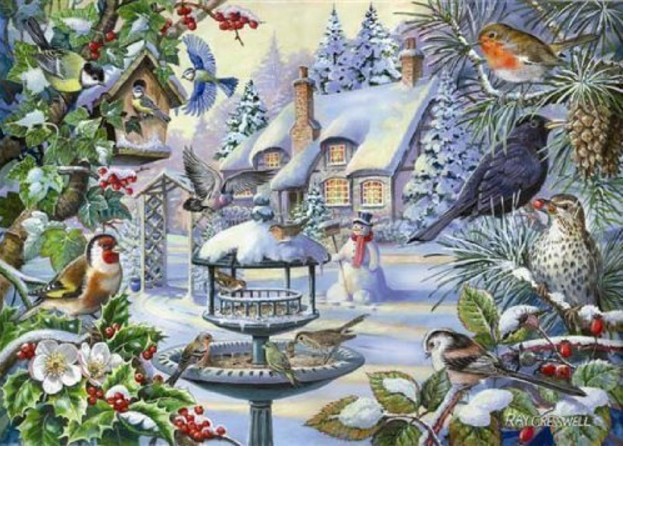 Winter Birds Big Pieces 500 BIG PIECE JIGSAW PUZZLE The House Of Puzzles 