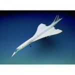 Puzzle   Cardboard Model: Concorde Aircraft
