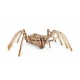3D Wooden Jigsaw Puzzle - Spider