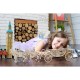 3D Wooden Jigsaw Puzzle - Royal Сarriage