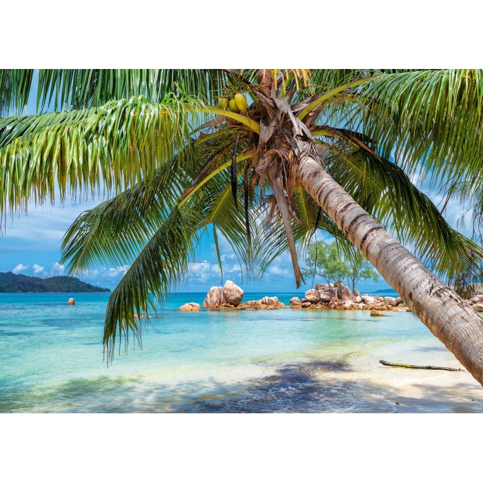 Puzzle  Alipson-Puzzle-F-50022 Tropical Beach