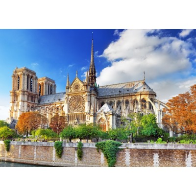 Puzzle Bluebird-Puzzle-70511-P Cathédrale Notre-Dame de Paris