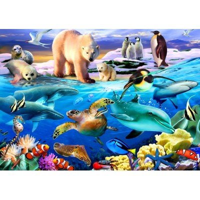 Puzzle Bluebird-Puzzle-F-90077 Oceans of Life