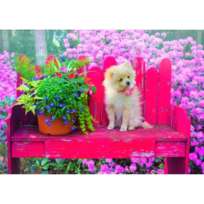 Puppy in the Colorful Garden