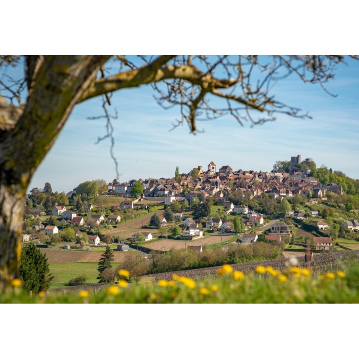 Puzzle  Bluebird-Puzzle-F-90443 Sancerre, Centre-Val de Loire, France