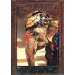 Puzzle   Painted Lady With Frame