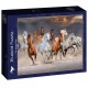 The Horse Race
