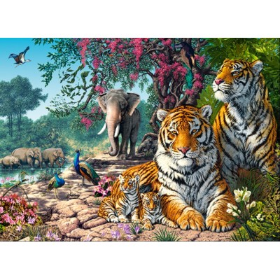 Puzzle Castorland-030484 Tiger Sanctuary
