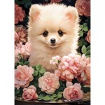 Puzzle  Castorland-030552 Pomeranian Puppy in Roses