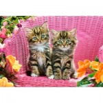  Kittens on Garden Chair 1000 piece jigsaw puzzle