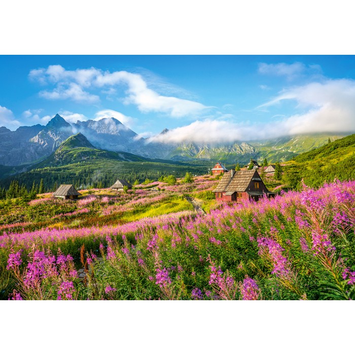 Puzzle  Castorland-104512 Tatras, Poland