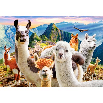 Puzzle Castorland-104758 Llamas Selfie