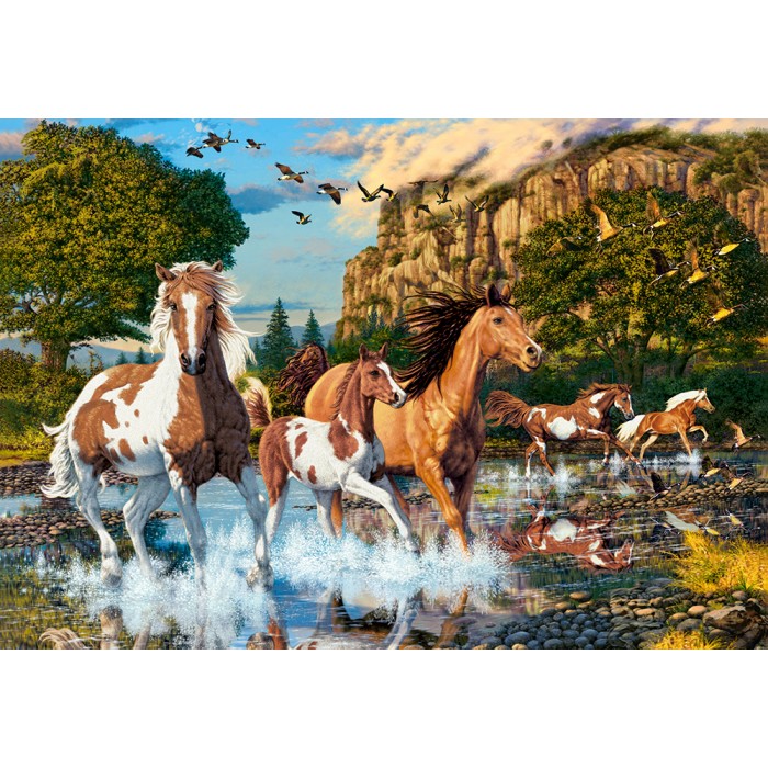 Puzzle  Castorland-104789 Horse Wonderland