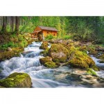 Puzzle  Castorland-151783 Watermill
