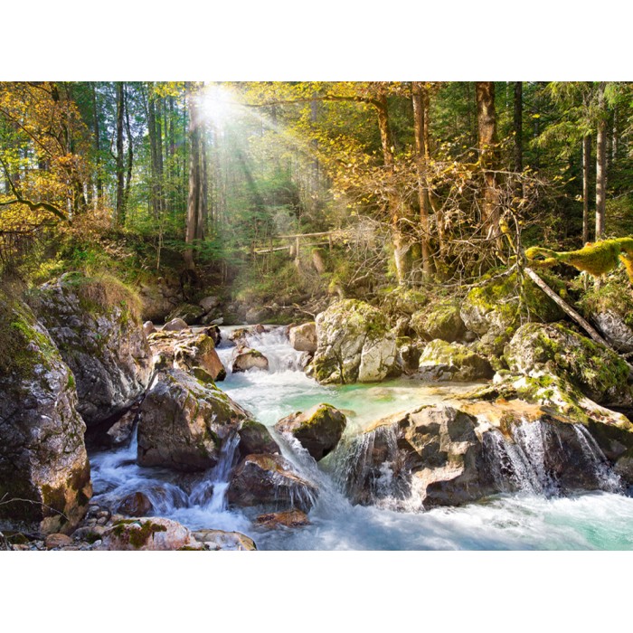  Castorland-200382 Jigsaw Puzzle - 2000 Pieces - Stream in the Forest