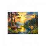 Puzzle  Castorland-300686 Sunset over Forest River