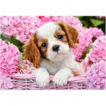 Puzzle  Castorland-52233 Pup in Pink Flowers