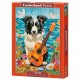Collie, Guitar and the Sea