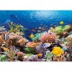 Jigsaw Puzzle - 1000 Pieces - Coral Reef