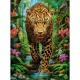 Leopard in the Wild