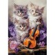 Musical Kittens