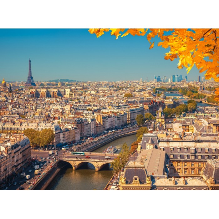 Puzzle   Paris from Above