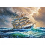 Puzzle   Sailing against all Odds