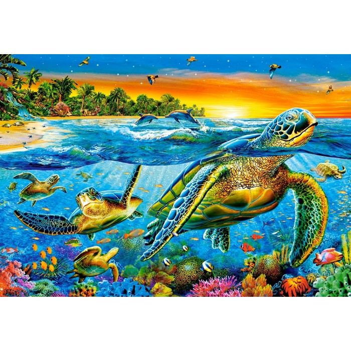 Underwater Turtles