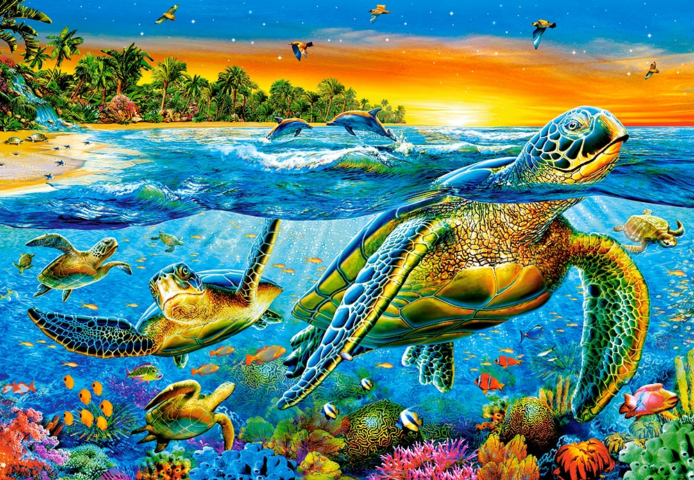 Underwater Turtles 