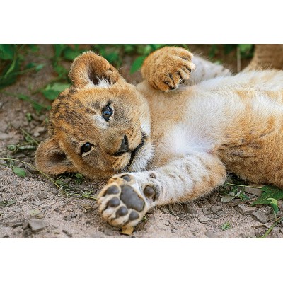 Puzzle Clementoni-29745 WWF - Lion cub