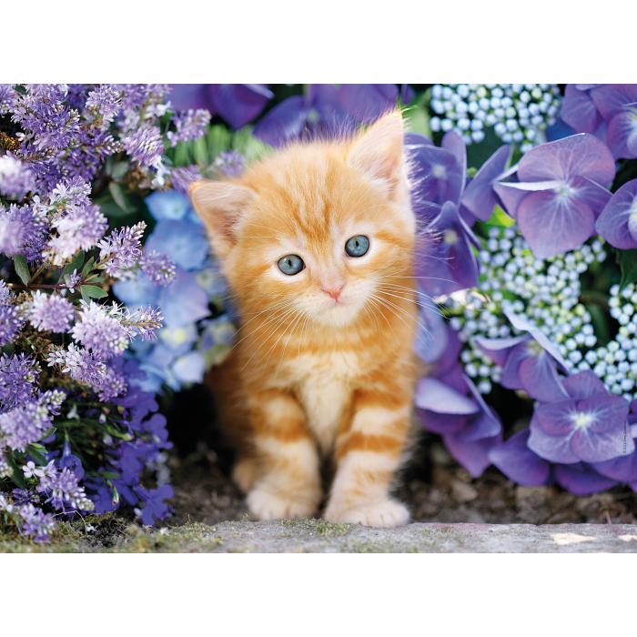 Puzzle  Clementoni-30415 Cat in Flowers