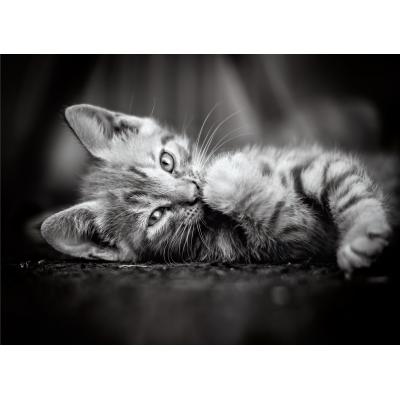 Puzzle Clementoni-39422 Kitty