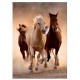 Jigsaw Puzzle - 1000 Pieces - Wild Horses Galloping
