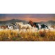 Jigsaw Puzzle - 13200 Pieces - Herd of Horses