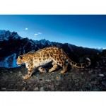Puzzle   National Geographic - Snow Leopard