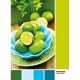 Pantone - Juicy Limes