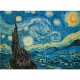 Van Gogh : The Starry Night