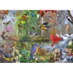 Puzzle  Cobble-Hill-40163 Birds of the Season