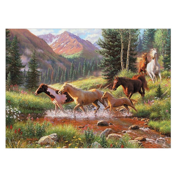 Puzzle  Cobble-Hill-40168 Mountain Thunder