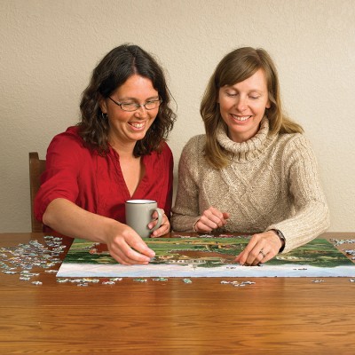 Puzzle Cobble-Hill-40225 Picnic by the Bridge