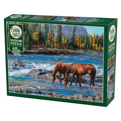 Puzzle Cobble-Hill-40267 On the Rocks
