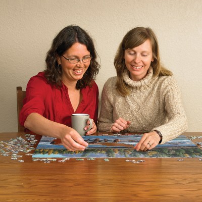Puzzle Cobble-Hill-40267 On the Rocks