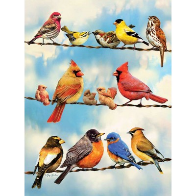 Puzzle Cobble-Hill-45046 XXL Pieces - Birds on a Wire
